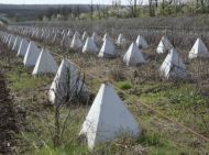 Украина срочно усиливает оборону в&nbsp;районе Приднестровья: что известно