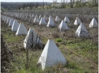 На границе установлены зубы дракона и рокадные дороги, фото ОК "Запад"