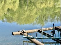 Прогноз погоди в Україні на 7 травня&nbsp;— Фото: Наталія Діденко