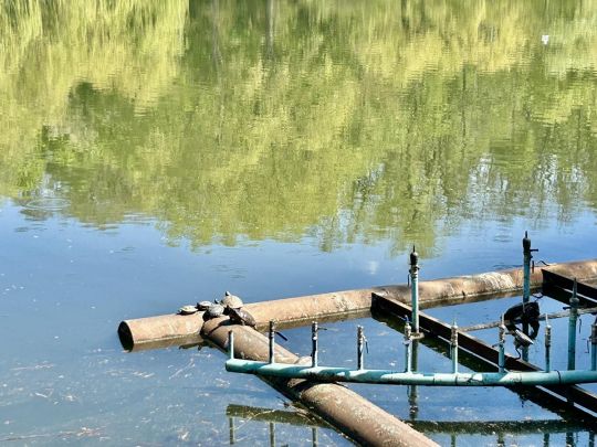 Прогноз погоди в Україні на 7 травня&nbsp;— Фото: Наталія Діденко