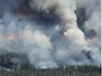 На Чернігівщині, Сумщині та Харківщині горять ліси, фото скриншот відео