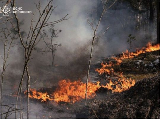 Рятувальники ліквідують лісову пожежу, фото ДСНС