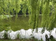 В&nbsp;Україну місцями нагрянуть сильні зливи, але стане тепліше: що&nbsp;кажуть синоптики про погоду на&nbsp;тижні 18&nbsp;&mdash; 24 травня
