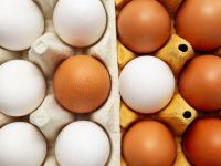 Білі чи коричневі яйця: експерти нарешті поставили крапку в цьому питанні