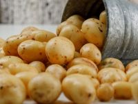 Як за 2 хвилини почистити кілограм молодої картоплі: простий лайфхак