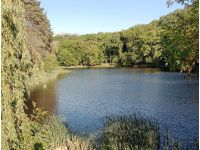 Останні дні травня будуть прохолодними, фото соцмережі