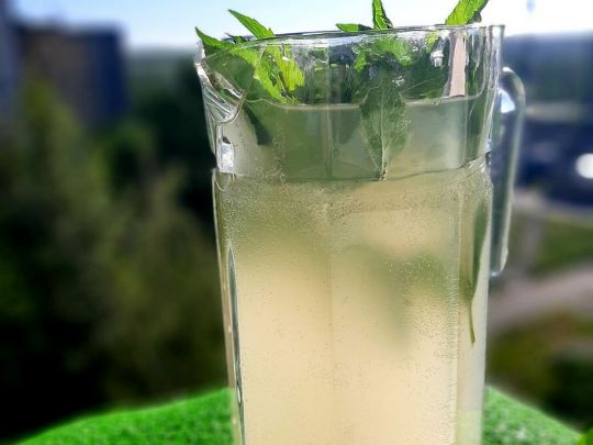 Мятный квас. Фото Эллы Ивановой