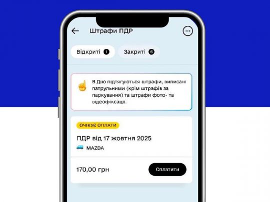 Комитет рекомендует Раде изменить сроки уплаты штрафов - Фото: ВРУ