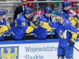 Збірна України з хокею