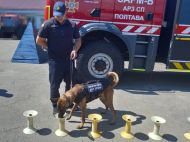 Команди розуміє лише англійською: полтавським рятувальникам допомагатиме пес Оскар, який народився у&nbsp;Камбоджі