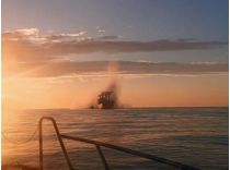 Російські безпілотники атакували цивільні суда у Чорному морі, фото з відкритих джерел