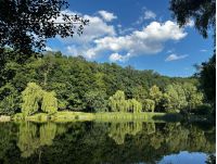 Голосеевский парк, фото https://www.facebook.com/tala.didenko