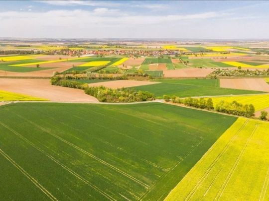 ціни на сільськогосподарську землю