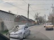 Водитель сбил военного ТЦК во&nbsp;время проверки документов (видео)
