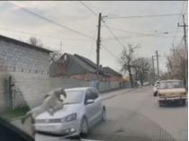 Фото - скриншот