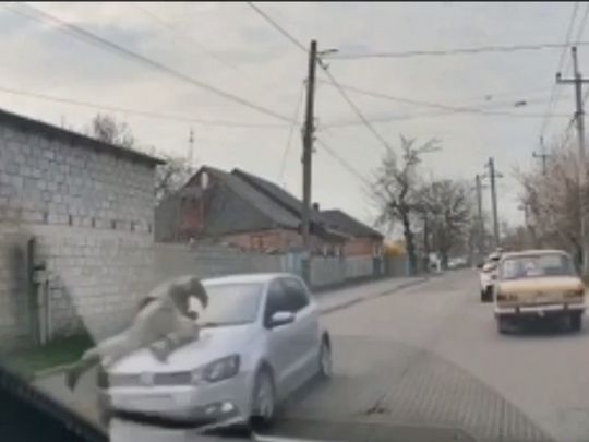 Фото&nbsp;— скріншот