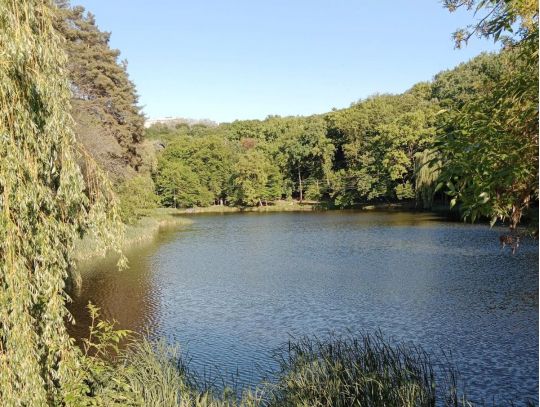 Голосіївський парк, фото соцмережі