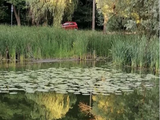 Погода в Україні на тиждень