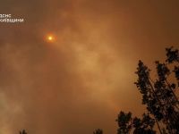 В Чорнобильській зоні горів ліс, рятувальникам вдалось його затушити
