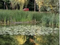 Прогноз погоди в Україні від синоптика Ігоря Кібальчича