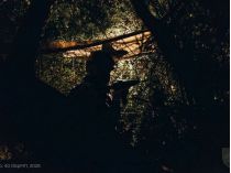 Російські війська будують фортифікації на Олександрівському напрямку