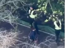 Полицейские скрылись от стрелка в Киеве - Фото: скриншот видео