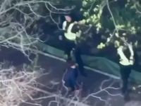 Трагедія в Голосієві. Скрин відео