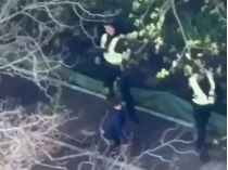 Трагедія в Голосієві. Скрин відео