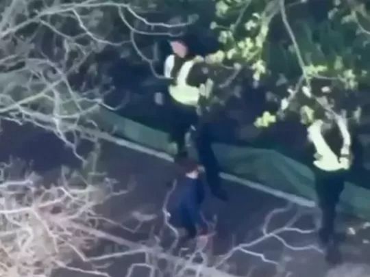 Трагедия в Голосеево. Скрин видео