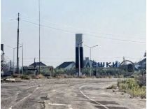 Олешки на грані виживання, фото з відкритих джерел