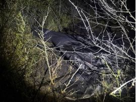 БПЛА впав за 30 км від кордону України, фото з відкритих джерел