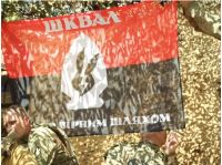 В Украине расширили права военнослужащих из бывших осужденных, фото интернет