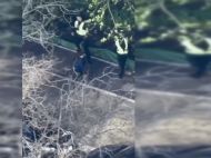 Двум полицейским, сбежавшим во&nbsp;время теракта в&nbsp;Киеве, предъявлено подозрение: видео с&nbsp;бодикамер