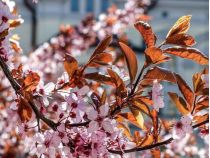 Последние дни апреля будут удачными, фото соцсети