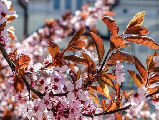 Последние дни апреля будут удачными, фото соцсети