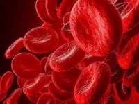 Які овочі та фрукти швидко піднімуть гемоглобін: список, який працює