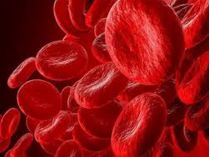 Які овочі та фрукти швидко піднімуть гемоглобін: список, який працює