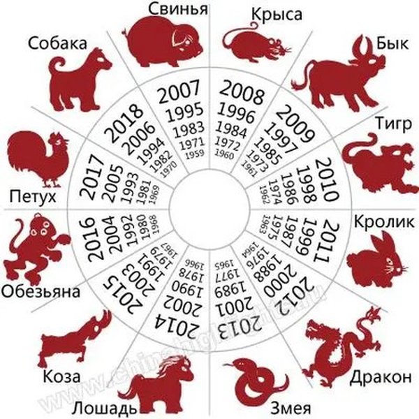 https://fakty.ua/user_uploads/images/articles/2019/02/07/295323/zodiaco-cinese.jpg