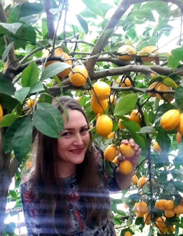 Семья в Запорожье выращивает в теплицах лимоновый сад: на продажу и для фотосессий (ФОТО) 5
