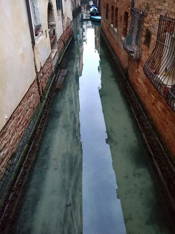 Из-за коронавируса каналы в Венеции стали намного чище
