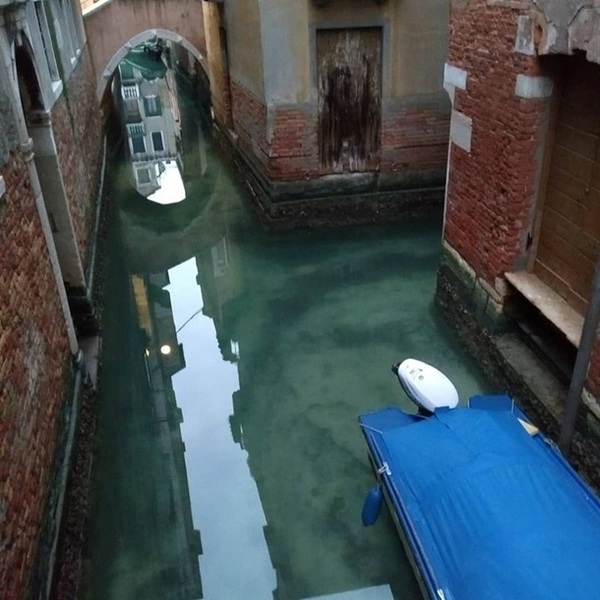 Из-за коронавируса каналы в Венеции стали намного чище