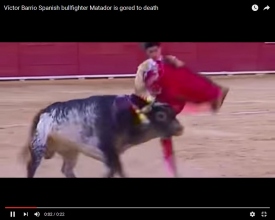 Бык убил одного из лучших матадоров Испании
