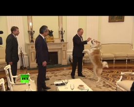 Как собака Путина напугала японских журналистов