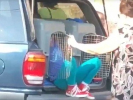 В США арестовали бабушку, перевозившую внучек в контейнерах для собак 