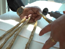 Рекордсмен состриг ногти, которые отращивал 66 лет 
