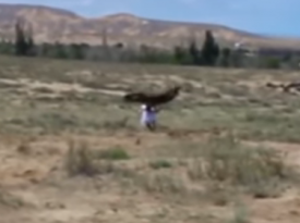 Хищная птица схватила ребенка во время этнофестиваля в Кыргызстане 