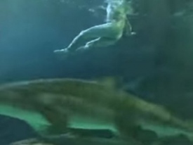 Пьяный канадец искупался голым с акулами 