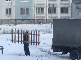 Прелести «русского мира»: в РФ чиновники установили детскую площадку, сфотографировали и увезли 