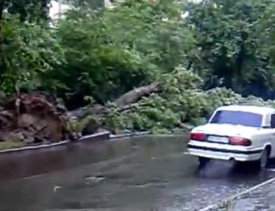 Ураган в Киеве валил деревья и срывал крыши